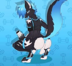 alexthedogkin anthro ass athletic_wear blue_hair blue_penis bottle container cutefckngbunny dogkin fluffy fluffy_tail genitals hair hi_res leg_tattoo lustful_gaze male penis power_bottom smile smiling_at_viewer smirk smirking_at_viewer solo solo_focus submissive tail tattoo water_bottle white_butt