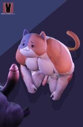1boy 3d 3d_model dollymolly323 feline furry gay meowscles_(fortnite) solo