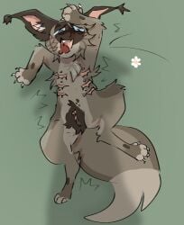 6_nipples big_clitoris blue_eyes blue_sclera blush bodily_fluids brown_body brown_fur caught claws clitoris cuntboy digital_media_(artwork) domestic_cat felid feline felis feral feral_on_feral fur genitals grass hair hawkfrost_(warriors) hi_res intersex mammal mastectomy_scar multi_nipple nipples nude open_mouth plant pussy scar sex siamese simple_background smile solo striped_body striped_fur stripes sweat sweatdrop tabby_cat tail teeth tempestpaw tongue trans_(lore) trans_man_(lore) vulva warriors_(book_series)