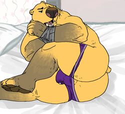 anthro ass bear bound bulge gay male male_focus male_only nastyspook original original_character overweight penis precum thong todd_(nastyspook) topless