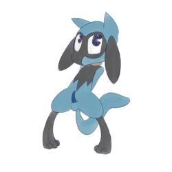 blue_penis kaykitten male male_only nintendo penis pokemon riolu solo standing video_games