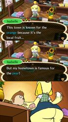 2013 2d animal_crossing animal_crossing_boy anthro ass furry isabelle_(animal_crossing) nintendo office_lady plasma-snake straight_hair upskirt