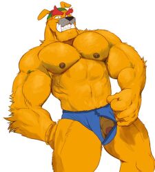 5_fingers anthro anthro_male anthro_only artist_request bara canid canine canis domestic_dog dribble_(warioware) foreskin furry furry_male furry_only male male_focus male_only muscular muscular_anthro muscular_male nintendo orange_hair pecs penis snout solo solo_male source_request uncircumcised underwear wario_(series) warioware yaoi