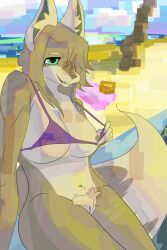 Anthro Rule 34 Image