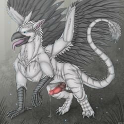 2013 anthro avian balls beak black_feathers blue_eyes cum cum_string erection feathers feral furry gryphon leaking male male_only nude open_mouth penis solo tongue tongue_out wemd white_feathers