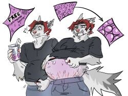 4:3 anthro belly belly_expansion belly_inflation beverage big_belly canid canine canis clothing egg expansion growth growth_sequence hi_res inflation male mammal oviposition pregnant pregnant_anthro pregnant_male rapid_pregnancy sequence stretchmarks ulvbecker wolf