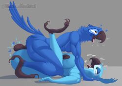 absurd_res anthro ass avian avian_feet balls beak big_balls big_breasts big_butt bird blu_(rio) blue_body blue_sky_studios breasts claws dominant dominant_male duo feathers female from_front_position genitals green_eyes happy happy_sex heart_symbol hi_res jewel_(rio) macaw male male/female mating_press muscular muscular_male neotropical_parrot nipples onomatopoeia orange_eyes parrot pecs rio_(series) seductive sex simple_background sound_effects spix's_macaw tail tail_feathers text thelordjoshua1 toe_claws tongue tongue_out true_parrot watermark