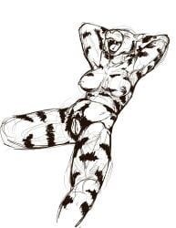 anthro black_and_white breasts felid female fur genitals hands_behind_head hi_res jeri_kleinlowe mammal monochrome navel nipples nude nude_female open_mouth pantherine pubes simple_background smile solo spread_legs spreading striped_body striped_fur stripes teeth tiger tongue vulva white_background
