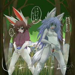 2012 animal_ears anthro blue_hair blush bracelet breasts brown_hair camiod canine censored female fur furry green_eyes grey_fur grey_skin hair human japanese_text jewelry lagomorph long_ears long_hair male nature outside peeing penis pussy rabbit rabbit_ears rabbitboy short_hair small_breasts spreading text translation_request tree uncut underwear urine watersports white_fur white_skin wolf wolf_ears wolfgirl