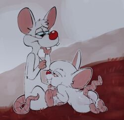 absurd_res anthro ball_fondling balls bed bite duo finger_bite finger_in_mouth fondling furniture genitals hi_res looking_pleasured male male/male mammal mouse murid murine on_bed pawfunk pinky_(warner_brothers) pinky_and_the_brain rodent the_brain warner_brothers