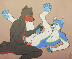 anthro anus ass ataraxia balls blue_fur blue_penis canine canine_penis duo erection fur furry furry_only gay handjob kneeling knot kodiakwolfy legs_up male nimex nude pawpads paws penis wolf