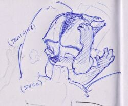 2boys anthro blush blushing dreamworks dreamworks_animation gay genitals human male male/male male_only mammal one_eye_closed oral oral_sex over_the_hedge paramount_pictures penis procyonid raccoon ram_satinga rj_(over_the_hedge) sketch text yaoi