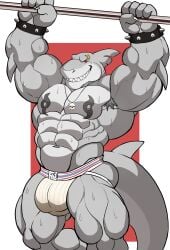 anthro armpit armpit_hair balls bara barazoku bulge darknaigart diphallism flaccid jockstrap jockstrap_only male male_only muscles muscular penis shark solo solo_male sweat sweating weightlifting