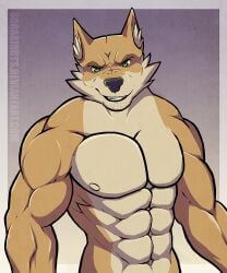 1boy 2010s 2014 abs absurd_res anthro anthro_focus anthro_only armpit athletic athletic_anthro athletic_male belly_button biceps big_muscles black_nose black_outline boxer breastplate buff buff_male cheek_tuft chin_pubes clout_(sorakirbys) confident countershade_ears countershade_snout countershade_torso digital_media_(artwork) face_tuft fit fit_male fluffy_ears fur furry furry_male furry_only gradient_background green_eyes hi_res lupine male male_only manly muscular muscular_arms muscular_male nipple_outline nipples nude nude_edit nude_male orange_arms orange_body partially_undressed pecs presenting_pecs seductive seductive_look smirk smirking_at_viewer solo solo_male sorakirbys standing tilted_head topless topless_anthro topless_male trapezius upper_body wolf wolf_boy wolf_ears