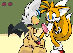 1boy 1girls animated blue_eyes blush breasts cock_ring erect_penis erection female fur furry furry_only furry_tail green_eyes interspecies male multiple_tails nanojam nude penis penis_growth pussy rouge_the_bat sega sonic_(series) tail tails testicles text veins veiny_penis