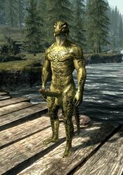 1boy 3d argonian bridge erection forest male male_only nude penis river scalie skyrim solo testicles the_elder_scrolls tree video_games wooden