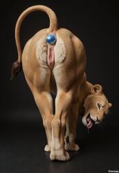 anal anal_sex animal_genitalia animal_pussy anus ass ass_up belly bent_over black_background bodily_fluids butt_focus butt_plug buttplug buttplug_in_ass buttplug_insertion dripping felid feline feline_genitalia feline_pussy feline_tail felis female feral fur genitals hi_res lion looking_at_viewer looking_back looking_back_at_viewer looking_pleasured mammal multicolored_body multicolored_fur open_mouth pantherine paws penetration pink_anus pink_pussy plug_(sex_toy) plug_insertion presenting presenting_hindquarters presenting_pussy pussy raised_tail realistic realistic_feral saliva saliva_drip saliva_on_tongue sex_toy sex_toy_in_ass sex_toy_insertion simple_background solo tongue tongue_out white_belly yellow_body yellow_fur zoophilia