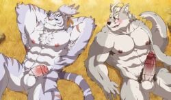 2boys abs animal_ear_fluff animal_ears armpit_hair armpits arms_behind_head bara blush cat_nose censored chest_fur claws closed_mouth commentary_request dog_nose erection facial_mark furry furry_male grey_fur grin hair_tie highres klaus_(world_flipper) looking_at_another lying male_focus multiple_boys muscular muscular_male navel nimbus_(world_flipper) nipples nude on_grass open_mouth pants pectorals penis ponytail pubic_hair purple_fur red_eyes saliva scar scar_on_stomach smile tail tamainu testicles tiger_boy tiger_ears tiger_stripes tiger_tail topless_male white_hair wolf_boy wolf_ears wolf_tail world_flipper