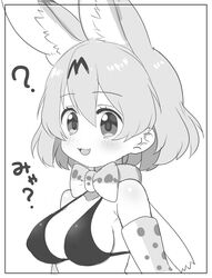 :3 ? animal_ears bangs bikini bob_cut border bow bowtie breasts commentary_request elbow_gloves eyebrows_visible_through_hair female female gloves greyscale halterneck highres kemono_friends looking_at_viewer medium_breasts monochrome oerba_yun_fang open_mouth print_bow print_bowtie print_gloves ransusan serval_(kemono_friends) serval_print short_hair smile solo swimsuit translated