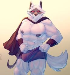 abs anthro biceps bulge canid canine canis cape clothed clothing death_(puss_in_boots) dreamworks fur genitals grey_body grey_fur hi_res humanoid humanoid_genitalia humanoid_penis looking_at_viewer male mammal mingo muscular muscular_anthro muscular_male nipples pecs penis puss_in_boots_(dreamworks) puss_in_boots_(film) puss_in_boots_the_last_wish red_eyes solo tail underwear underwear_only white_body white_fur wolf