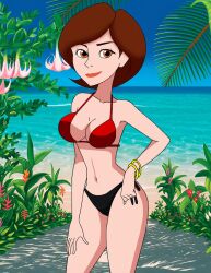 alternate_costume bikini breasts carlshocker elastigirl female female_only helen_parr outdoors outside smile swimsuit tagme the_incredibles