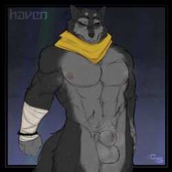 absurd_res animal_genitalia anthro balls bandage bandaged_arm big_balls big_sheath black_sclera blue_eyes bodily_fluids bracelet canid canine canis cerberussenn countershading eye_scar facial_scar fully_sheathed fur genitals grey_body grey_fur haven_blair_(cerberussenn) hi_res jewelry kerchief kerchief_only male mammal mostly_nude muscular muscular_male musk musk_clouds musky_armpit musky_balls neckerchief neckerchief_only nipples pecs pubes scar scarf scars_all_over sheath signature solo solo_male sweat tail wolf