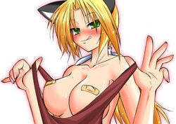 animal_ears bandaid blonde_hair blush breasts cat_ears female female_only green_eyes huge_breasts jun'you_maru licking_lips long_hair lucky_star nanako_kuroi pasties solo tongue