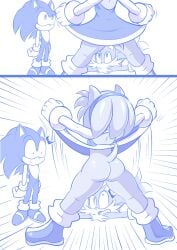 amy_rose anthro ass bulmas_panty_flash dress dress_lift dress_up going_commando no_panties reference sheecktor sonic_(series) sonic_the_hedgehog sonic_the_hedgehog_(series) tail tails