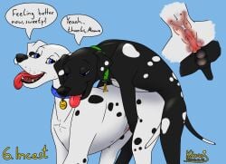 2024 animal_genitalia animal_penis balls ben_(kinaj) bird_dog black_body black_fur black_nose blue_eyes bodily_fluids breath canid canine canine_genitalia canine_penis canine_uterus canine_vulva canis close-up collar cum dalmatian doggy_style domestic_dog duo english_text female feral from_behind_position fur genital_fluids genitals hi_res hunting_dog incest_(lore) internal kinaj kinktober kinktober_2024 knotting labrador male male/female mammal markings mixed_breed mother_(lore) multi_nipple nipples panting parent_(lore) penetration penile penile_penetration penis retriever sex son_(lore) spots spotted_body spotted_fur tania_(kinaj) teats text tongue uterus vaginal_penetration white_body white_fur