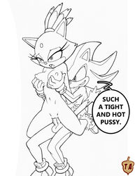 anthro blaze_the_cat breasts cat dialog english_text erection feline female fur hair hedgehog male mammal nipples nude open_mouth penetration penis pussy rule34rox sega sex shadow_the_hedgehog sonic_(series) straight text vaginal_penetration