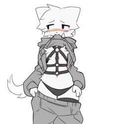 boykisser cute cute_face femboy furry gay male nonbinary revealing_clothes silly silly_face smaller_male solo sufness thighhighs