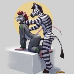 1:1 absurd_res anal anal_sex anarchy_symbol anthro ass countershade_fur countershading cowardlion duo equid equine from_behind_position fur genitals green_markings grey_body grey_fur hair hand_on_neck hi_res hooves male male/male mammal markings mohawk murid murine nude nude_male penetration penile penile_penetration penis penis_in_ass pink_hands pink_nose platform_standing_doggystyle rat red_hair rodent sex simple_background standing_doggystyle zebra