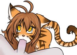 ahoge anthro brown_hair feline fellatio female flora_(twokinds) fur furry hair oral sleepymomo stripes twokinds yellow_eyes