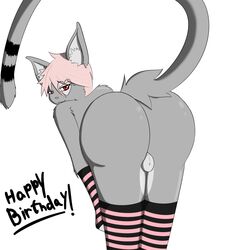 anthro arm_warmers ass balls birthday crossdressing feline fur furry girly grey_fur hair heart len_grey petkitten pink_hair red_eye smirk teasing thighhighs