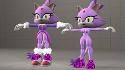 3d anthro areola blaze_the_cat breasts cat erect_nipples feline female female_only fur mammal mistersfm nipples nude pussy sega smile solo sonic_(series) two_tone_hair yellow_eyes