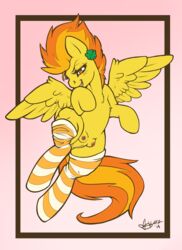 2014 crotchboobs equine eyelashes female feral friendship_is_magic fur hair mammal my_little_pony orange_hair pegasus pussy skuttz small_crotchboobs solo spitfire_(mlp) wings wonderbolts_(mlp) yellow_fur