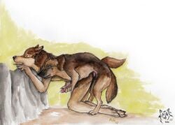 2013 anthro anthro_on_feral anthro_penetrated artist_logo brown_body brown_fur canid canine dated duo erection fangs feral feral_penetrating feral_penetrating_anthro from_behind_position fur genitals knot kola_(artist) logo male male/male male_penetrated male_penetrating male_penetrating_male mammal mouth_closed open_mouth penetration penile penile_penetration penis red_penis sex side_view simple_background tan_body tan_fur teeth tongue tongue_out zoophilia