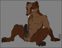 anthro anus badger balls black_penis blush erection furry furry_only male male_only mise mustelid nude penis plain_background precum sitting solo tongue tongue_out