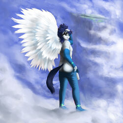 2013 anthro anthrofied blue_eyes blue_hair clothes cloud color day elbow_gloves equine eyewear friendship_is_magic furry furry_only gloves goggles hair horse looking_at_viewer looking_back male male_only my_little_pony outdoors pegasus penis pony sky soarin_(mlp) solo standing wings wonderbolts_(mlp) zoomerboomerz