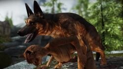 3d ambiguous_penetration animated blue_eyes brown_fur domestic_dog feral_on_anthro feral_on_female feral_penetrating feral_penetrating_anthro german_shepherd khajiit kittymage male/female male_penetrating_female outside paws sktorus skyrim sound tagme video whiskers zoophilia