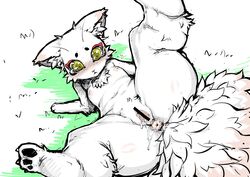 anthro anus blush censored feline female furry jun nipples pussy solo tears