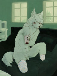 1boy amputee anthro bandage blood blush canine detailed_background fur furry furry_only green_eyes in_bed male male_only nude penis sansh solo white_fur