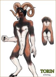 2012 anthro ass back balls beard black_hair black_nose caprine facial_hair furry furry_only hair hooves male male_only penis piercing plain_background ram solo torin white_background windy_(artist)