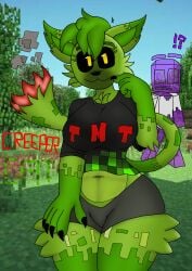 breasts creeper_(minecraft) female furry furry_female minecraft tagme