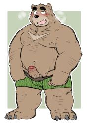 2024 anthro bear belly blush clothing erection genitals goujuyu hi_res kemono male mammal moobs navel nipples overweight overweight_male penis simple_background solo underwear