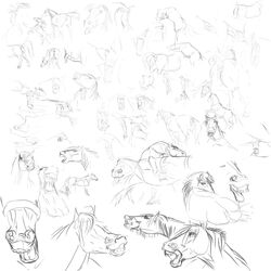 anus balls character_study cuntboy equine feral fisting full-package_cuntboy gdane herm hermaphrodite horse human intersex male maleherm multi_genitalia penis pussy pussy_juice sketch vulva