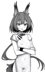 alternate_costume animal_ears arknights blush breasts china_dress chinese_clothes commentary_request crossed_arms dress female female_pubic_hair flametail_(arknights) greyscale groin highres long_hair looking_at_viewer makigirisu mandarin_collar medium_breasts monochrome navel nipples open_mouth ponytail pubic_hair pussy see-through_clothes see-through_dress short_sleeves side_slit simple_background smile solo sweatdrop tail white_background wristband