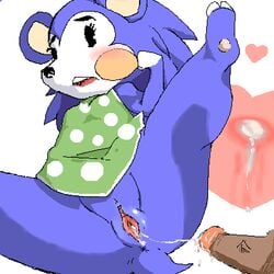 after_sex animal_crossing anthro anus blush bottomless cum cum_in_pussy cum_inside cum_string disembodied_penis female furry heart hedgehog internal looking_at_viewer mabel_able male nintendo penis pussy saboten spread_legs spreading straight video_games