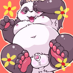 anthro anus balls blush chubby flower furry looking_at_viewer male male_only moobs nipples panda pawpads penis solo zapapanda