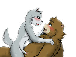 anthro bear black_nose blush brown_fur canine chest_tuft chubby cum embrace erection fur furry furry_only gay green_eyes hand_on_face male no_humans nude penis plain_background shinoda_hamazaki simple_background slim tears tongue tuft white_background